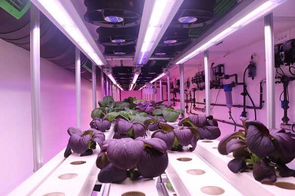 Premium Ürünler Yetiştirilecek