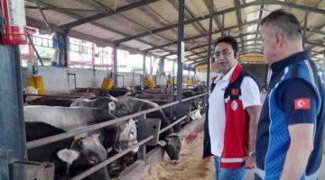 KARTEPE’DE KURBAN KESİM YERLERİ DENETLENİYOR