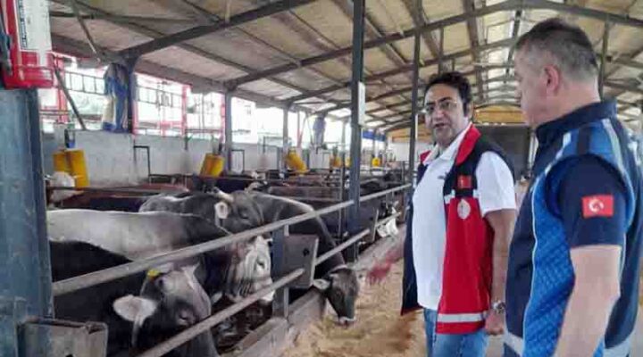 KARTEPE’DE KURBAN KESİM YERLERİ DENETLENİYOR