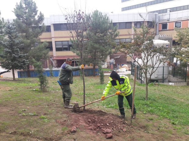 Büyükşehir İzmit’i yeşillendiriyor