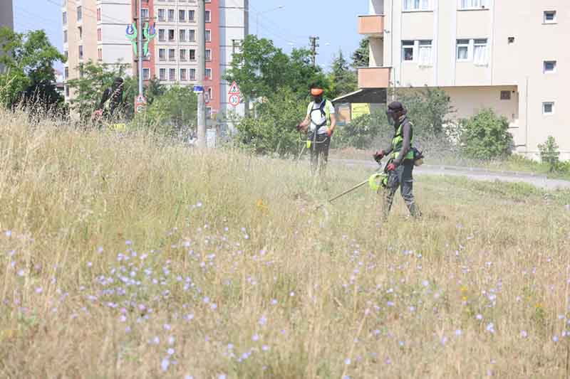 Boş arazilerdeki otlar biçiliyor