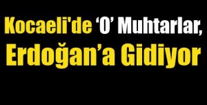 101701_ekran-alintisi