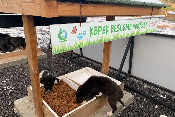 Mama Dağıtımı Sıklaştı