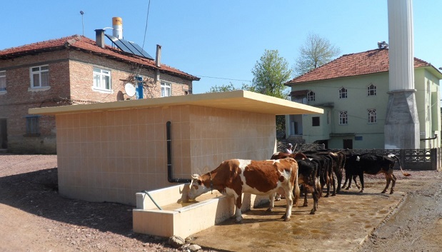 ‘’Tarım ve Hayvancılığa her alanda destek’’