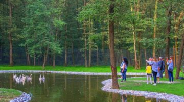 Türkiye’nin en çok ziyaret edilen koruma alanı