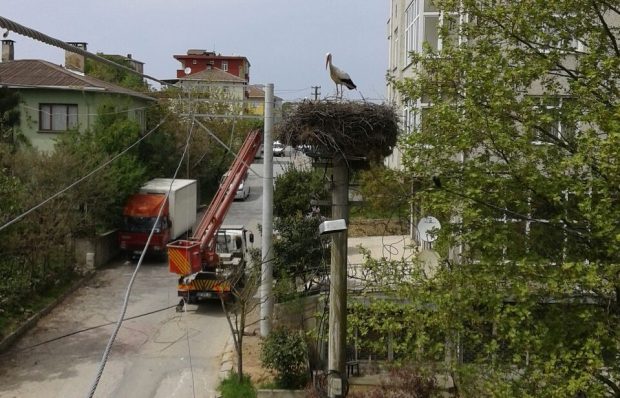 “SEDAŞ yuvayı korudu”