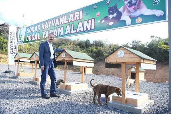 “Hayvan dostu bir belediyeyiz”