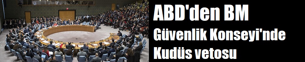 ABD’den Kudüs vetosu