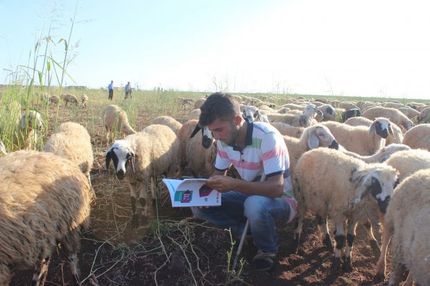 Çobanlıktan Diş Hekimliği’ne