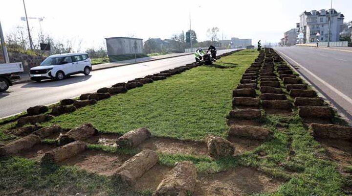 Tramvay çalışmasında sökülen ağaçlar doğaya nefes olacak;
