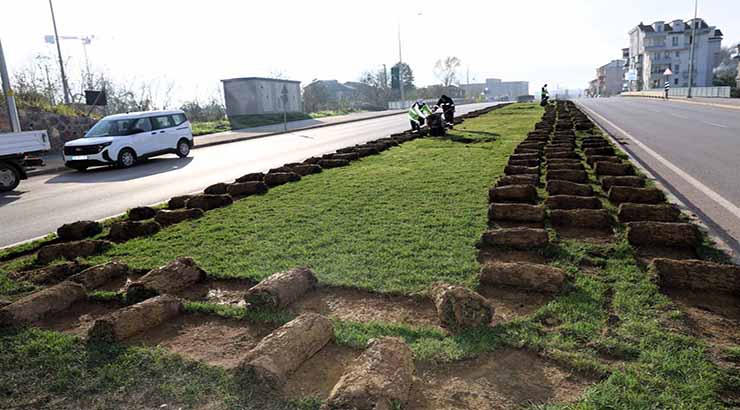 Tramvay çalışmasında sökülen ağaçlar doğaya nefes olacak;
