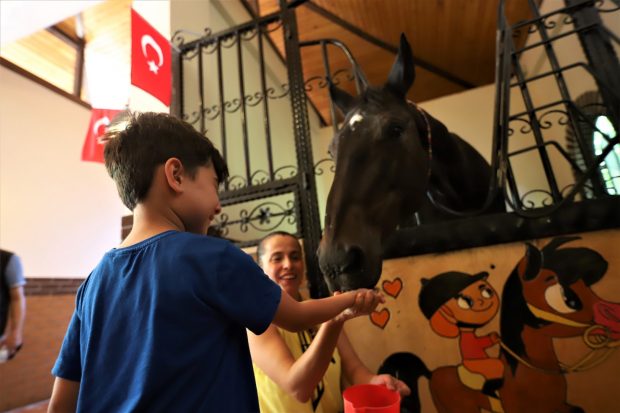 Çocuklar atlar ile buluşuyor