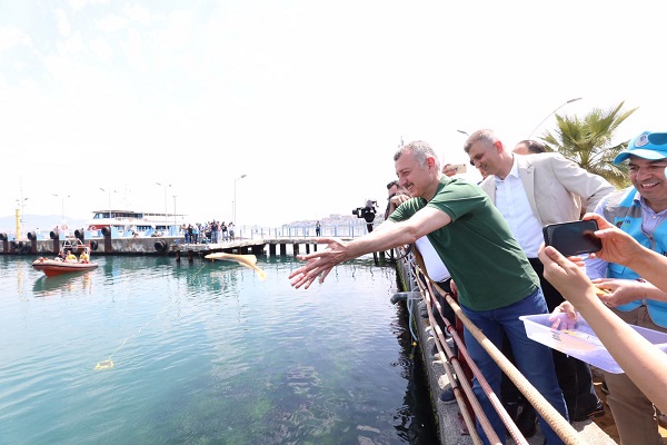 Levrek, Çupra ve Kalkan Yavruları Deniz ile Buluştu