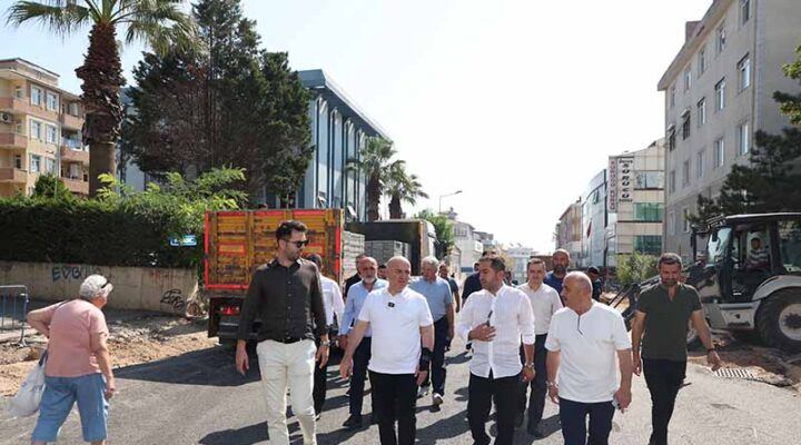 Başkan Bıyık çalışmaları yerinde inceledi