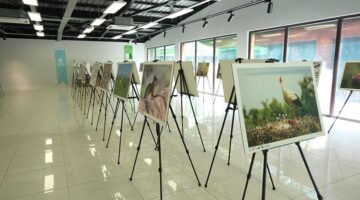 Bu fotoğraf sergisi Ormanya’da görsel şölen sunuyor