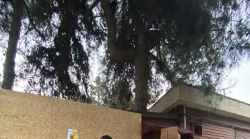 Büyükşehir, Atatürk Heykeli’nin temizliğini yaptı