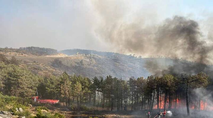 Büyükşehir’den Bursa’daki yangına tam destek