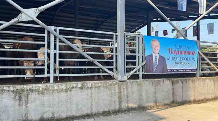 Büyükşehir’in modern mezbahasında kurbanlar kesiliyor