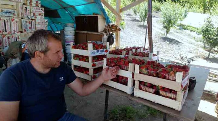 “Çilekte kalitenin adresi Akçat Köyü”