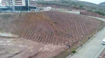 Umuttepe Kampüsüne 10 bin ağaç 