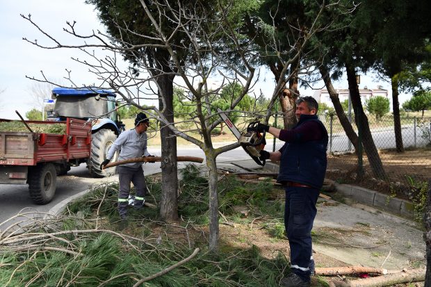 Park ve Bahçelerde bahar hazırlıkları sürüyor