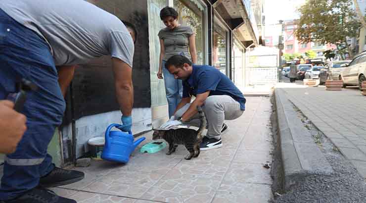 Darıca Belediyesi’nden Can Dostlarımıza Mama ve Su Desteği
