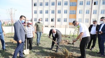 Darıca’da okul bahçelerine fidan dikiliyor