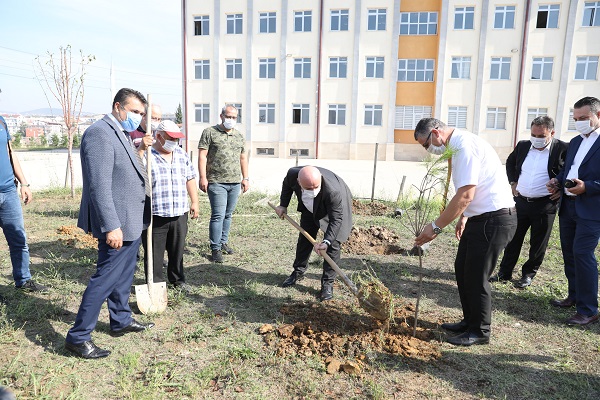 Darıca’da okul bahçelerine fidan dikiliyor