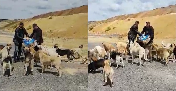 CHP Çayırova ilçe yöneticisinden anlamlı hareket