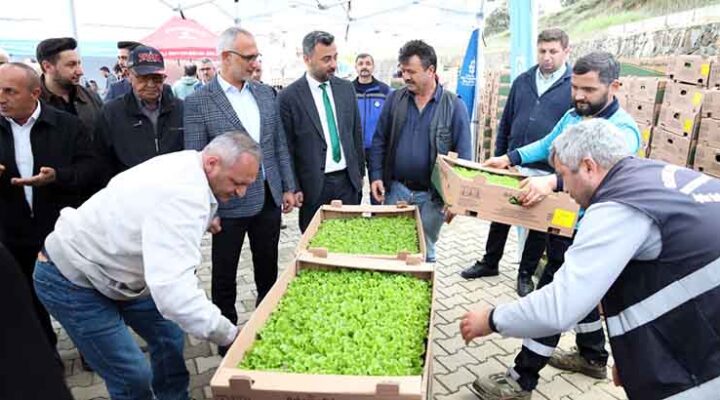 Gebzeli çiftçiye 500 bin sebze fidesi
