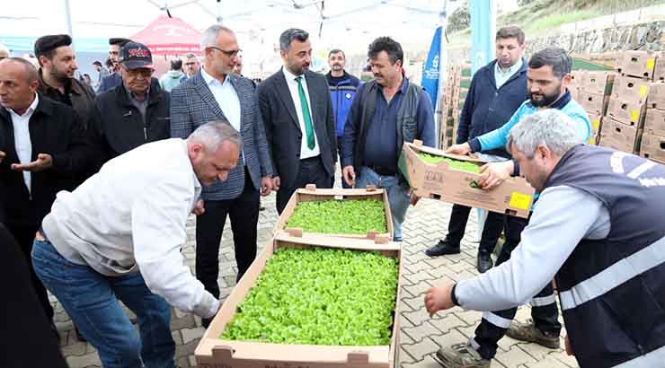 Gebzeli çiftçiye 500 bin sebze fidesi