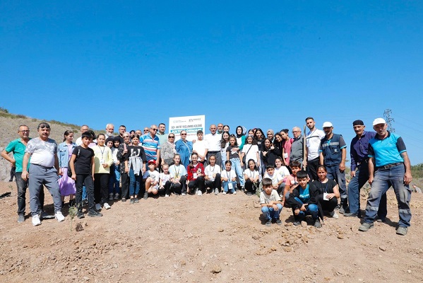 Zeytin Ağacı Hatıra Ormanı
