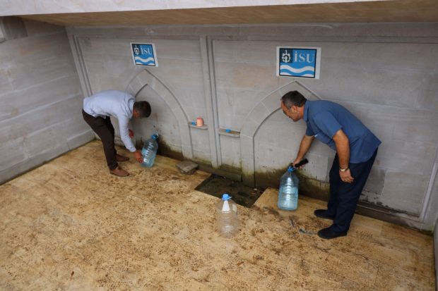 Böbrek hastalıkları için ‘Gündüzlü Suyu’