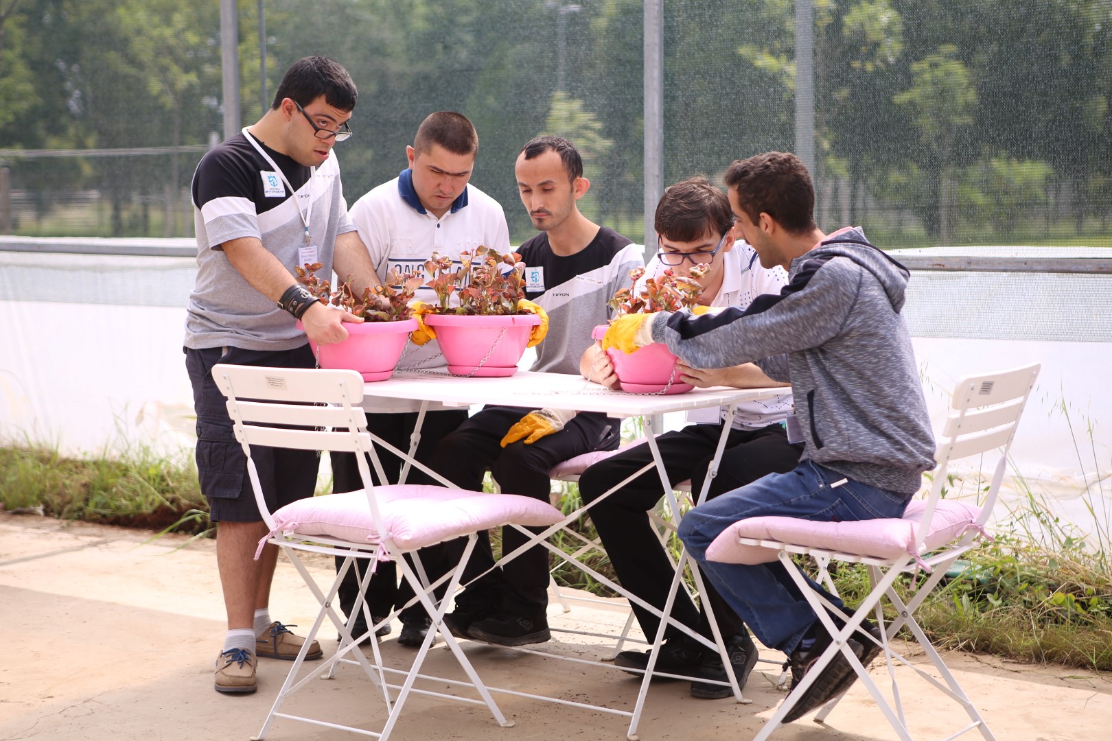 Engel tanımıyorlar