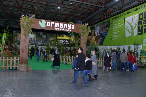 Ormanya’da safari deneyimi