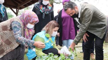 Hürriyet, fideleri elleriyle dağıttı