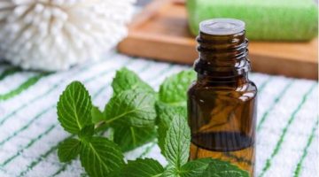 Çiftçilere tıbbi nane hakkında bilgi