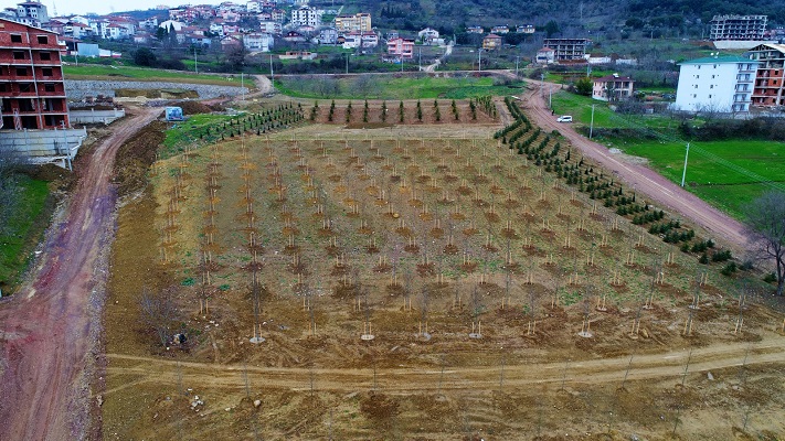 2020 yılında 190 Bin Fidan Dikildi