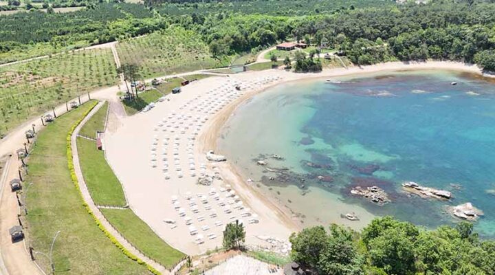 Miço Kadınlar Plajı’nda yok yok