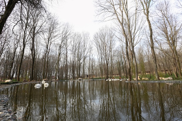 Avrupa’nın en büyük doğal yaşam parkı Kocaeli’de