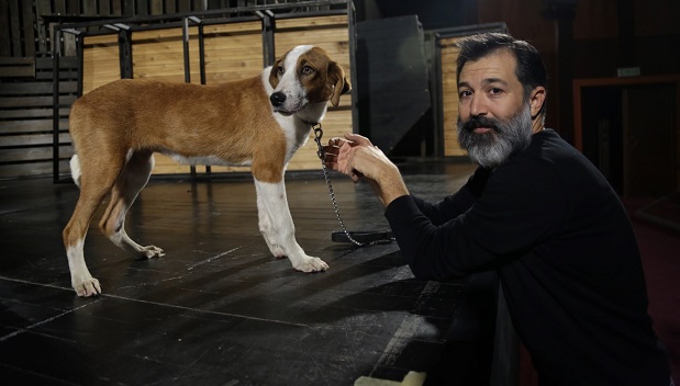 Boncuk, tez zamanda sahnelere alıştı.