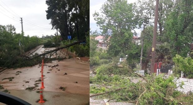 SEDAŞ’tan Enerji Verme Mücadelesi