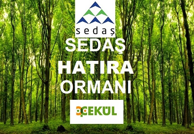 Sedaşlı Kadınlardan Hatıra Ormanı