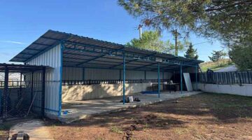 Merhaba, haber detayları aşağıdaki gibidir.