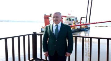 Temizlenen İzmit Körfezi’nde artık yunuslar dans ediyor