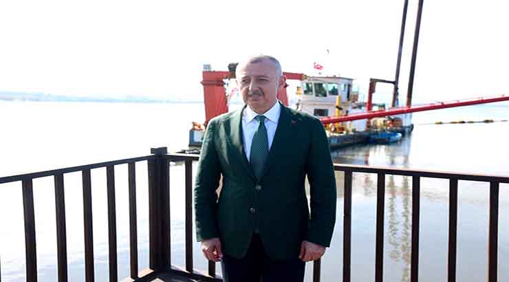 Temizlenen İzmit Körfezi’nde artık yunuslar dans ediyor