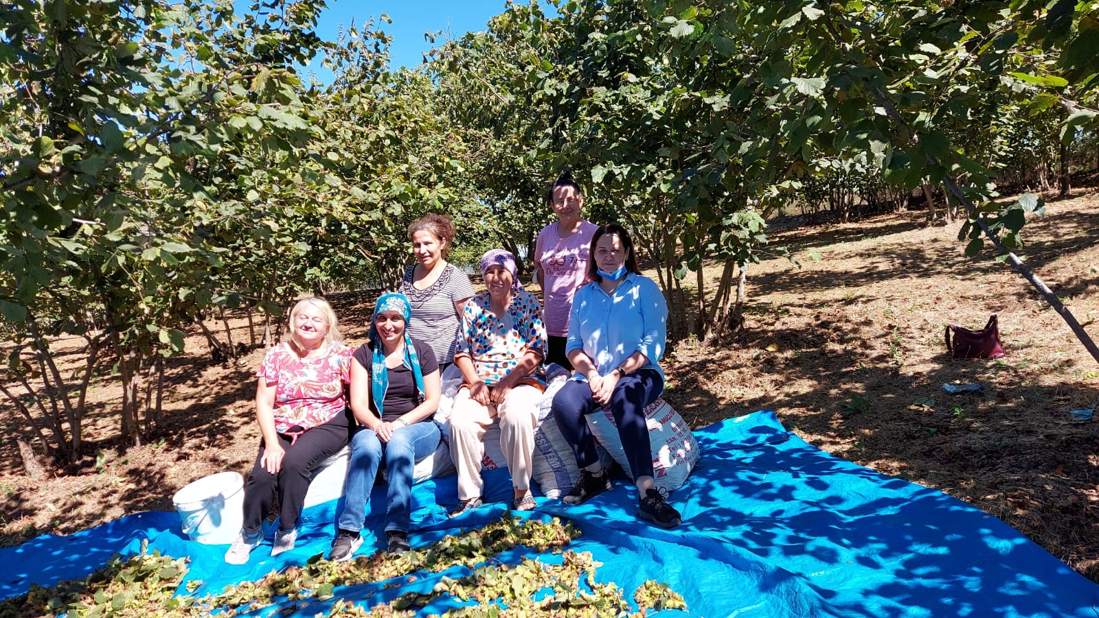 Kandıralı fındık üreticileri “Geçinemiyoruz”