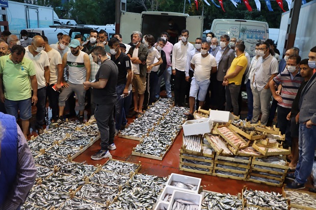 Balıkçıları ilk mezatlarında yalnız bırakmadılar