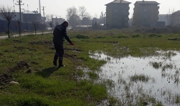 İlaçlanmayan yer kalmadı