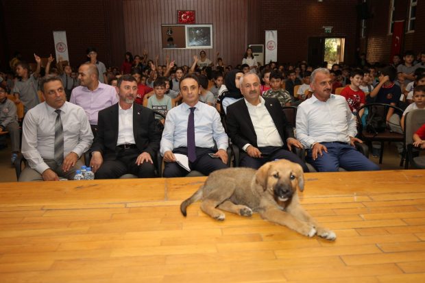 “Sevginizi hayvanlardan eksik etmeyin”